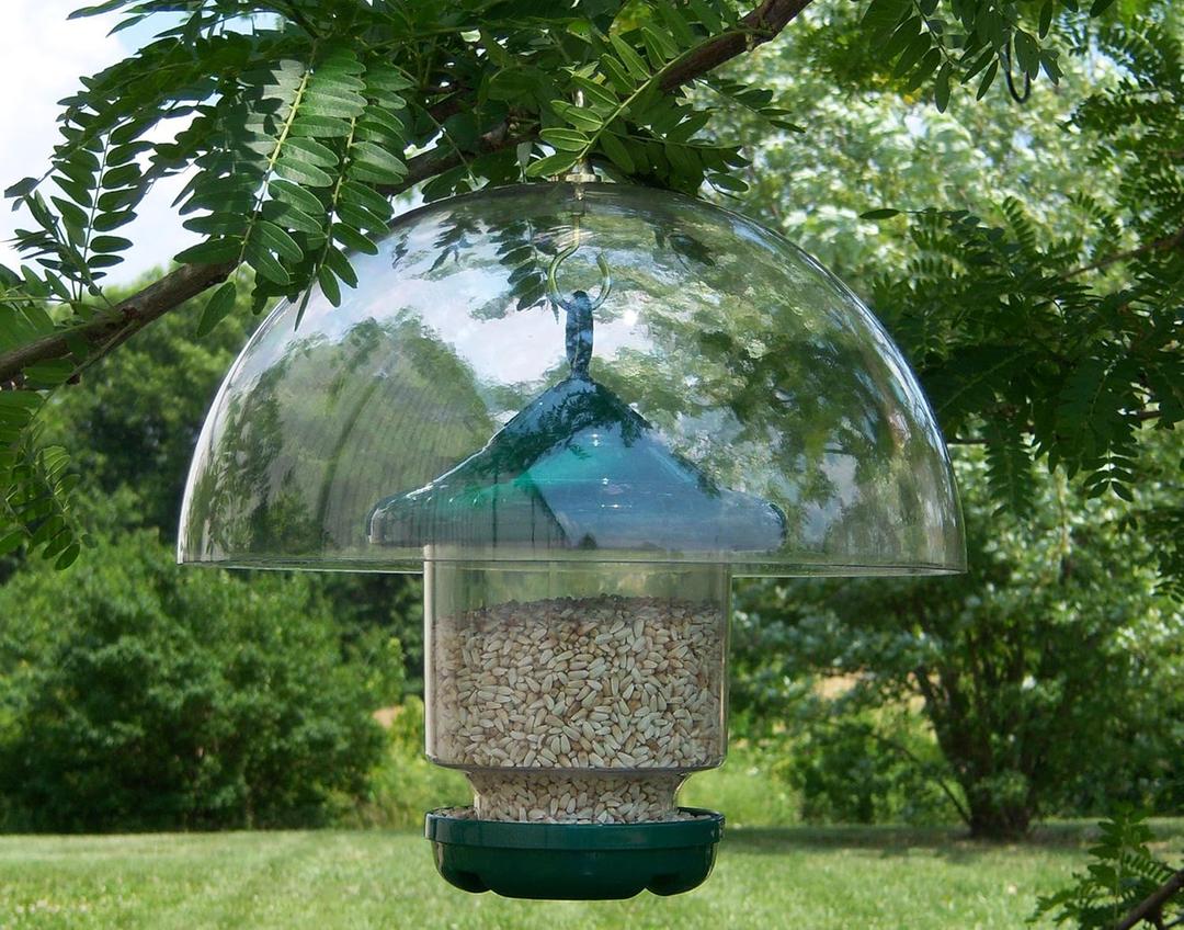 Songbird Essentials Unbreakable 12 Inch Hanging Bird Feeder Baffle - Clear Plastic Dome Cover Protects Nectar - Resists Squirrel Damage