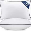Throw Pillow Inserts Set of 2-Fluffy Square Cushions with 100% Cotton Covers-Decorative White Pillow Fillers for Sofa, Bed, Couch, Living Room, Indoor Hotel Pillows (12x20 Inch (Pack of 2)-Blue Edge)