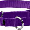 PetSafe Martingale Dog Collar Large, 1 Inch, Deep Purple