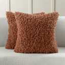 FUTEI Pack of 2 Decorative Throw Pillow Covers 20x20 Inch,Soft Fluffy Faux Wool Fur Boucle Textured Cushion Case,Modern Home Decor for Couch Bed Living Room Office,Rust