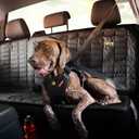 Ezydog Drive Dog Car Harness  Crash Tested and Certified (US-FMVSS 213) Dog Seat Belt Harness for Safe Travel, Adjustable with Padded Comfort (Medium) (Black)