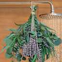 52 PCS Mix Dried Eucalyptus & Lavender Flowers Bundles for Shower, 17'' Natural Real Hanging Silver Dollar Eucalyptus Leaves Stems, Fragrance Fresh Plants Home Bathroom Decor (52pcs)