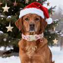 Unique Style Paws Christmas Dog Collar Plastic Buckle with Pendant Red Pink Elk Cotton Puppy Collars for Small Medium Large Dogs