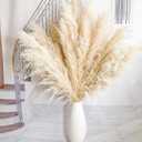 10pcs 40'' Pampas Grass Tall Decor - Pompas Floral, Tall pampas grass for Floor Vases, Living Room Floor, Floor Plants, Plumas Para, and Grass Wall Decor