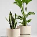 LE TAUCI 12 Inch Pots for Plants with Saucer, Ceramic Indoor Planter Pot for Plants with Drainage Hole, Mesh Pad Included, Unglazed Porous Ceramic, Modern for Home and Office, Speckled Oat