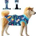 Dog Surgery Recovery Suit,Female Male Dog Onesie for Spay Neuter,Substitute E-Collar & Cone,Anti-Licking Breathable Onesie for Small Medium Large Dogs,New Dinosaur Pattern L