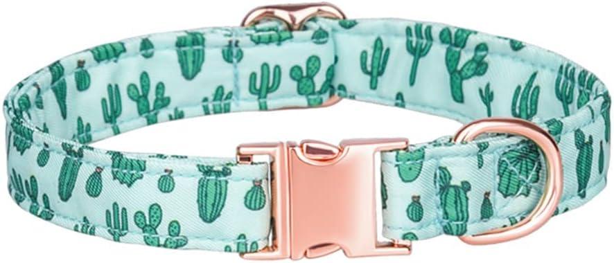 2 x Dog Collar, Cute Flower Floral Patterns Pet Collars for Girl Female Boy Small Medium Large Dogs, Strong Rose Gold Metal Buckle, Soft Cotton Adjustable Puppy Dog Collar (S( 5/8"x 10.2-16.5"), Green) 2 x Dog Collar, Cute Flower Floral Patterns Pet Collars for Girl Female Boy Small Medium Large Dogs, Strong Rose Gold Metal Buckle, Soft Cotton Adjustable Puppy Dog Collar (S( 5/8"x 10.2-16.5"), Green)