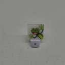 Funny Frog Night Light,Plug Into Wall for Boys Girls Bedroom Decorative Square Night Light Lamp 0.5w Sleep Friendly