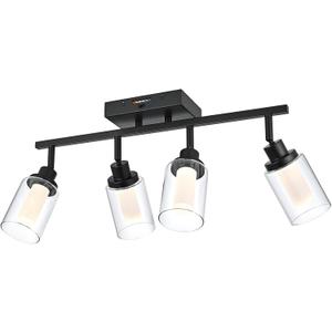 4-Light LED Black Dimmable Track Lighting Kit, 5-Color Temperature Adjustable Directional Ceiling Spotlight, Bathroom Wall Lamp with Integrated LED Chips