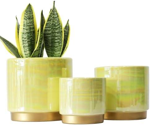 Gepege Indoor Pots for Plants, Ceramic Planter with Drainage Hole, 6.0 inch+5.0 Inch+4.0 Inch. Succulent Orchid Flower Pot - Rainbow Pearl Glaze Gepege Indoor Pots for Plants, Ceramic Planter with Drainage Hole, 6.0 inch+5.0 Inch+4.0 Inch. Succulent Orchid Flower Pot - Rainbow Pearl Glaze