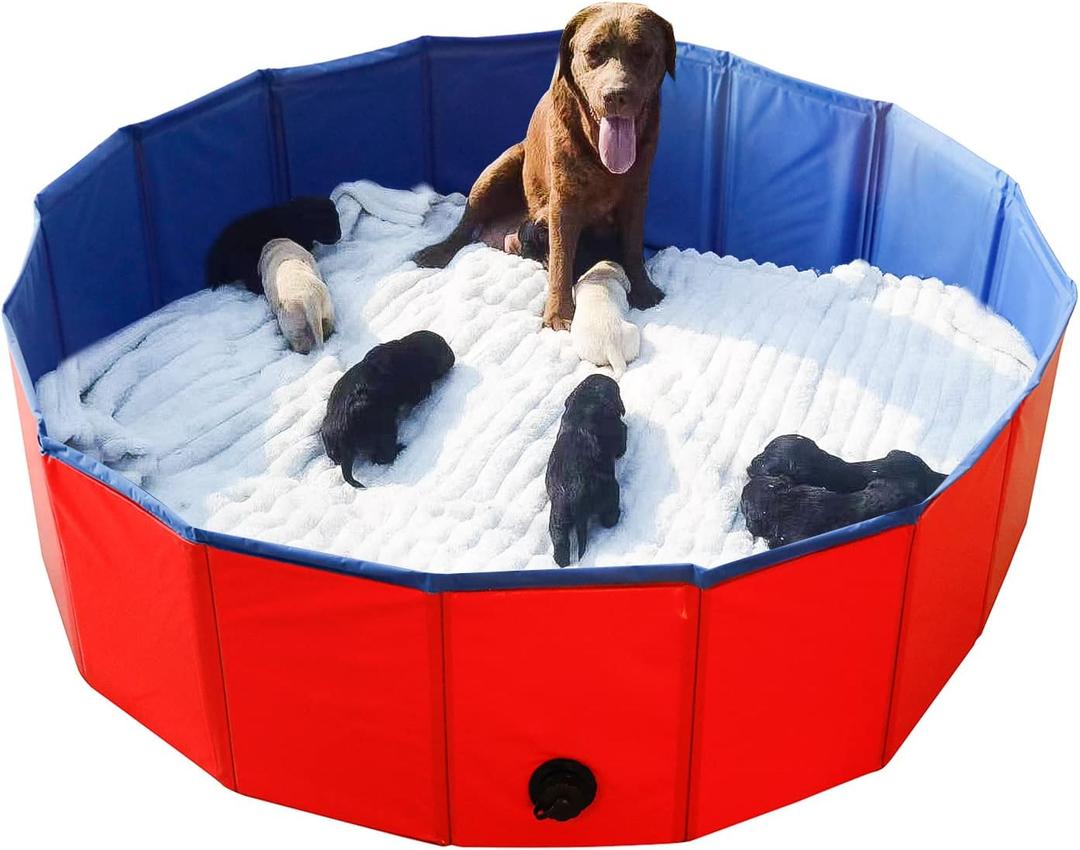 Artilife Foldable Dog Bath Pool - Portable Whelping Box for Puppies & Dogs (47" Dia.x12" H(120x30cm)) (Red)