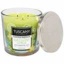 TUSCANY CANDLE SUCCULENT CITRUS 14 OZ
