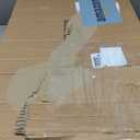 2 Pack Stainless Steel Litter Box | XL Enclosed Cat Litter Boxes with Lid for Big Cats and Multi-Cats | High Sided, Anti-Urine Leakage | Non-Stick BottomSilver Gray