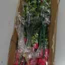 Grunyia 10 Bundles Artificial Flowers Outdoor UV Resistant Fake Flowers No Fade Faux Plants Garden Porch Window Box Decorating (Rose Red)