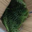 2 Set Fake Ferns with Hanging Baskets, UV Resistant Fake Hanging Ferns Plants, Outdoor Artificial Hanging Plants for Front Porch Garden Balcony Patio Home Decor, No Assembly (Green X 2)