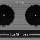 2 burner induction cooktop,110V 3000W 2 burner induction plate with Brushed Panel LED Knob Control, induction stove top with 9 Power Levels, Kids Lock & Timer,24 Inch double induction cooktop