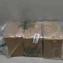 Tatuo 3 Pack Laundry Detergent Dispenser 61 oz Clear Liquid Container with 6 Removable Labels, Fabric Softener Pet Plastic Detergent Dispenser for Laundry Room Organization and Storage