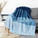 PAVILIA Fluffy Sherpa Throw Blanket Ombre | Gradient Plush, Soft, Fuzzy, Decorative Accent Throw Blanket for Couch Sofa Twin Bed | Cozy Warm Decorative Furry Faux Fur Blanket, 60x80 Inches Sea Blue