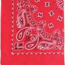 Trainmen Paisley Bandanas Scarf Do-rag Cotton Biker Head Rags Classic Bandanna 22" x 22" (12 Pack)