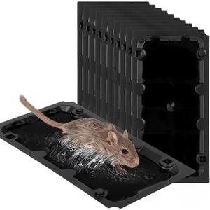 10 Pack Sticky Mouse Trap Rat Trap Indoor, Peanut Taste Pheromone Mouse Traps Indoor for Home, Glue Sticky Traps for Mice and Rats, Snake (Large Size)