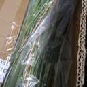 Jexine 4 Pcs 4 ft Tall Artificial Grass Plant Potted Artificial Greenery Floor Plants Faux Pampas Grass Tall in Pot for Housewarming Gift House Garden Bathroom Lobby Outdoor Decoration