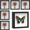 6 Pcs Shadow Box Frame - 5x5 Square Frame Display Case for Sports Memorabilia & Wedding Keepsakes - Wall Mountable Display Box for Medals, Photos, Dried Flowers (Black)