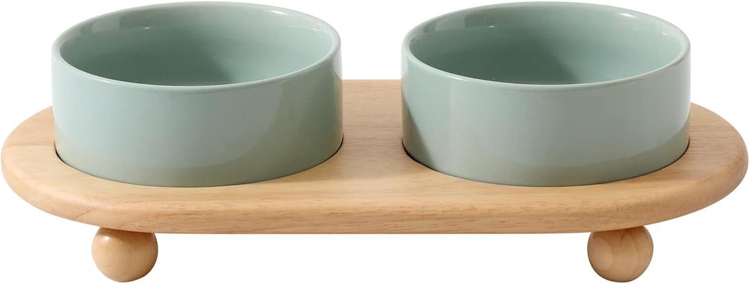 Ceramic Elevated Cat Food and Water Bowl, Kitty Bowl, Raised Cat Dish, Pet Feeder (5.1 in, 2 x Light Green + Stand)