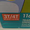 Pampers Training Pants - Easy Ups Boys & Girls Bluey - Size 3T-4T, 116 Count, Children's Potty Underwear