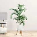 Uneedem Indoor Plant Stand, Wood Mid Century Modern Small Round Side Plant Table for Indoor Plants, 8.9" Tall Plant Holder for Flower Pots End Table