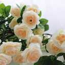 YRIOWMI 10PCS Fake Rose Garland, 7.5Ft Artificial Vines Flowers Hanging Rose Vine forfor Table Wedding Backdrop Arch Wall Party Mantle Festival Decor (Champagne)
