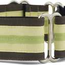 If It Barks - 1.5" Martingale Collar for Dogs - Adjustable - Nylon - Strong and Comfy - Ideal for Training - Made in USA - Large, Key Lime Pie (Large (19"-30"))