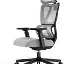 ProtoArc Ergonomic Office Chair, EC100 Big and Tall Mesh Computer Desk Chair with 30% Thicker Saddle Shaped Spring Cushion, Lumbar Support, Adjustable Headrest, Armrest for Home and Office - Gray
