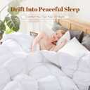 Cosybay Full Size Feather Down Fiber Comforter - Ultra Soft 100% Cotton Duvet Insert, All Season Hotel Luxury Bedding with Corner Tabs, 82"x86" White