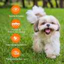 Dog Eye Drops, Eye Infection Treatment, Eye Drops for Dogs & Cats, Soothe Irritation Pink, Dry Eyes, Itchy Eye Wash Tear Stains, Debris Cleaner, Natural Daily Eye Care, Safe for Pets (4oz)