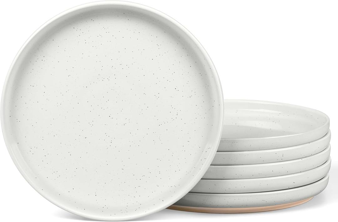 LIANYU Stoneware Dinner Plates Set of 6, 10.5 Inch Large Ceramic Salad Plates for Kitchen, Porcelain Round Serving Dishes Set, Oven, Microwave & Dishwasher Safe, Scratch Resistant, Snowy White