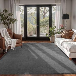 Lascpt Soft Area Rug for Living Room, 4x6 Ft Dark Grey Memory Foam Large Rug for Bedroom, Modern Throw Rug for Girls Boys Women Kids, Carpet for Bedroom Nursery Room Decor, Gray 