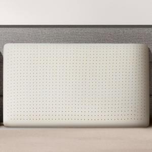 Talalay 100% Natural Premium Latex Pillow, Queen Bed Pillow with Removable Cotton Cover, Helps Relieve Pressure, Sleeping Pillow Suitable for Back and Side Sleepers, Travel Pillow (Queen (Medium))