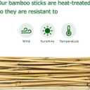Cambaverd Bamboo Stakes for Plants, Natural Bamboo Plants Stakes 5 Feet, Garden Stakes for Climbing Plants Tomatoes, Beans, Potted Plants - 20Pcs Bamboo Poles (58in, Approx 5FT)