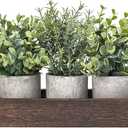 Dahey 3 Pack Mini Potted Artificial Eucalyptus Fake Plants with Wood Tray Centerpiece Table Decorations, Farmhouse Pulp Flower Pots Greenery Home Decor for Coffee Table Dining Room Office Kitchen