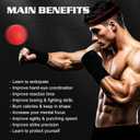 2 x KTEBO Boxing Reflex Ball Headband Set - Includes 4 Different Balls and 2 Adjustable Headbands for Beginner Proficiency Improvement, Great Boxing Equipment