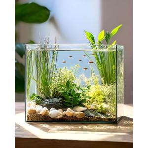 3.5 Gallon Clear Glass Fish Tank, Aquarium Fish Bowl Ultra Clear Rimless Design for Betta Goldfish Snails Shrimp Aquatic Planting (Transparent)