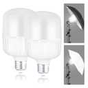 LED Light Bulbs Pack Of 2