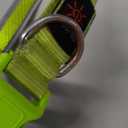 Flashseen LED Dog Collar, Light Up Dog Collar Lights USB Rechargeable, Adjustable Comfortable Soft Mesh Safety Collar for Small, Medium, Large Dogs(Large, Neon Green)