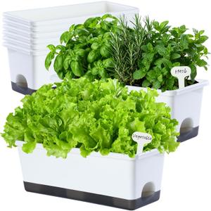 Oliz Window Box Planter 8 Pcs, 17 Inches Rectangle Flower Pots with Drainage Holes & Trays, Vegetable Planters for Windowsill Patio Garden Balcony Home Indoor Outdoor (White, 16 * 7 * 6 inch)