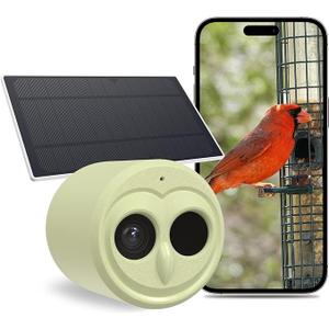 5G Bird Watching Camera, Hibird Smart AI Identify and Auto Capture 10000+ Bird Species IP66 Mini Wireless Watching Camera with Solar Panel, Ideal Gift for Birds Lover