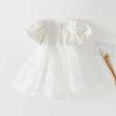 KARETT Summer Toddler Girl Dresses Tutu A Line Puffy Short Sleeve Casual Flower Girl Dress for Birthday Party 1-7Y (L)