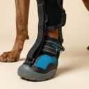 Labra Dog Canine Knuckling Corrector Toe Dragging Brace Wrap for Front or Back Rear Paw Leg L/XL