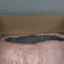 EHEYCIGA Fluffy Dog Crate Bed for Medium Dogs, Plush Faux Fur Pet Crate Pad, Calming Anti Anxiety Medium Pet Bed, Washable Soft Warm Dog Mat with Non-Slip Bottom, Pink (29.5 x 20)