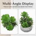 Villa Como 10 Large Succulents Plants Artificial in Ceramic Pots Potted Faux Succulent Arrangement with Black Bowl Pots Fake Desk Succulents Plants for Home Bathroom Shelf Table Indoor Decor