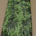 9FT Cedar Garland with Lights, Prelit Christmas Garland Artificial Realistic, Real Touch Pine Christmas Garland for Mantle Stairs Outdoor Decoration, Battery Operated Faux Greenery Garlands Thick Lush